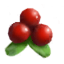 Preiselbeeren